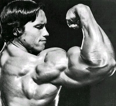 Arnold-Schwarzenegger-training.jpg