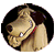Brugeravatar
