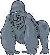 Brugeravatar