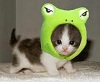 Brugeravatar