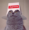 Brugeravatar