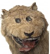 Brugeravatar