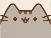 Brugeravatar