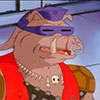 Brugeravatar