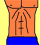 Brugeravatar