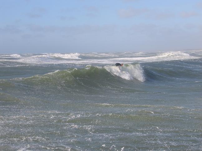 6241-surf1.jpg