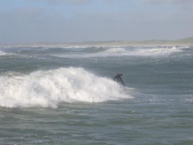 9446-surf2.jpg