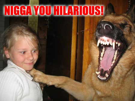 8927-laughingdog.jpg