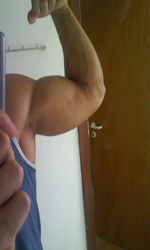 4990-arm.JPG