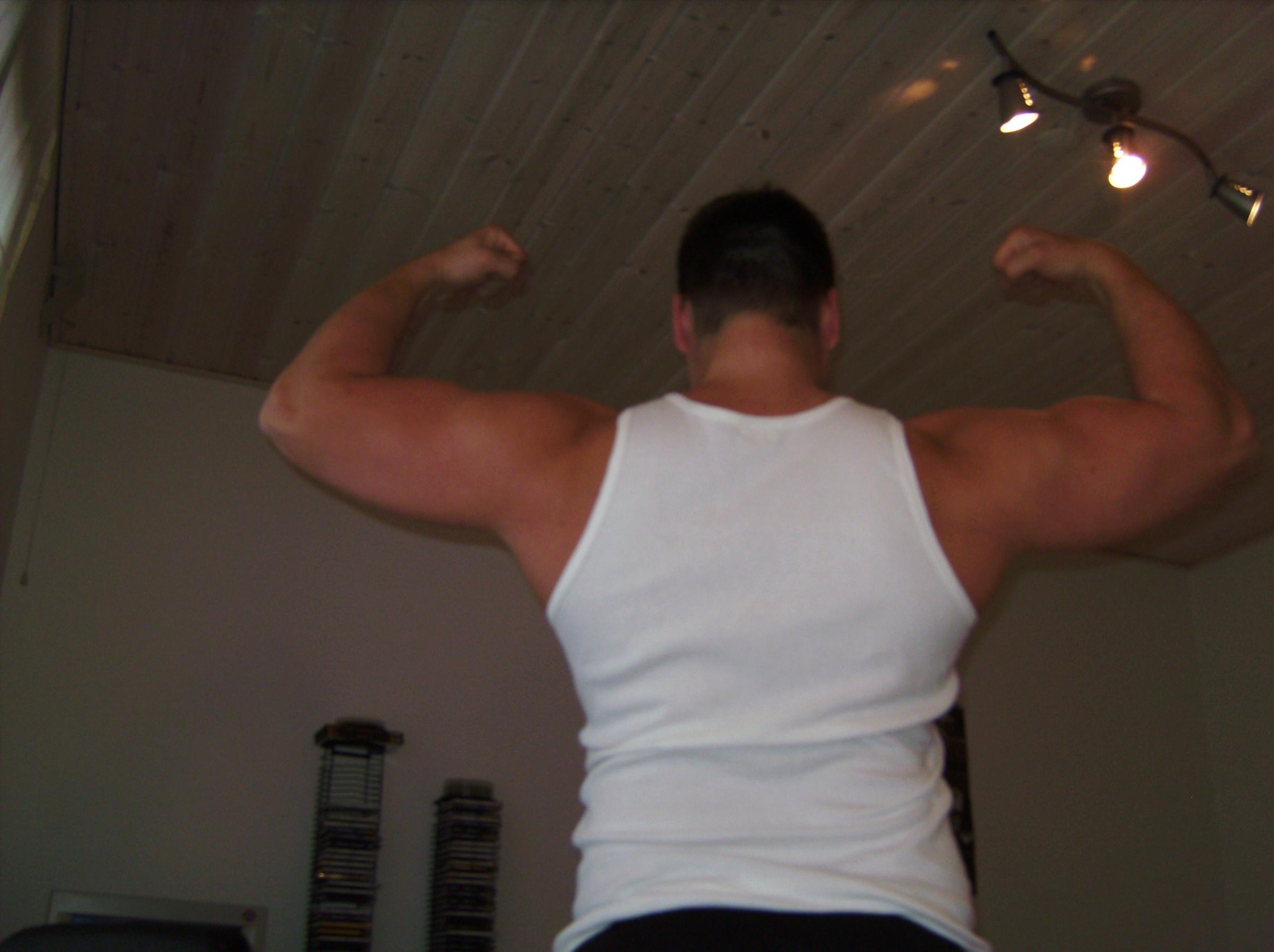 3308-dubbel back biceps12.JPG