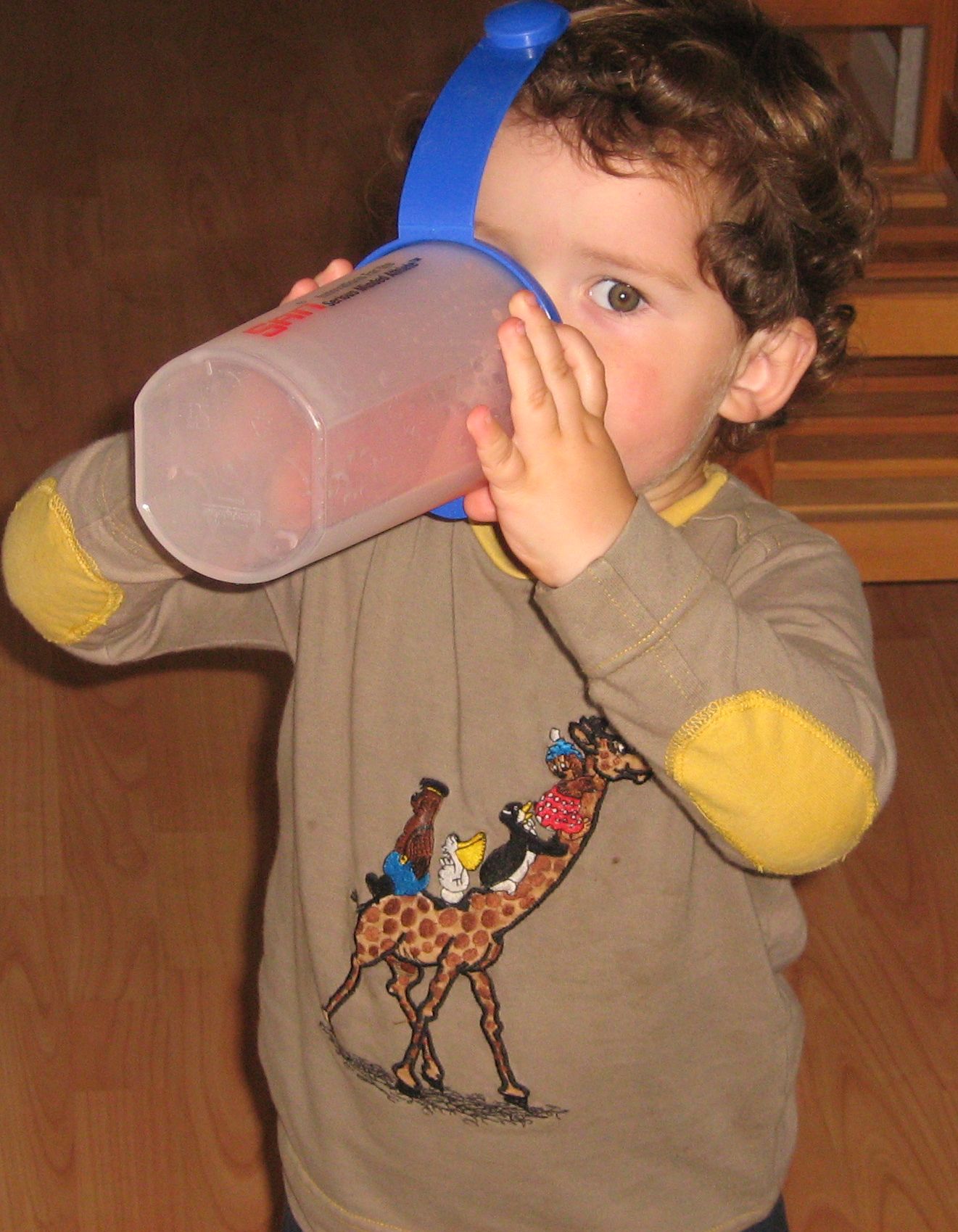 8473-IMG_0515.jpg