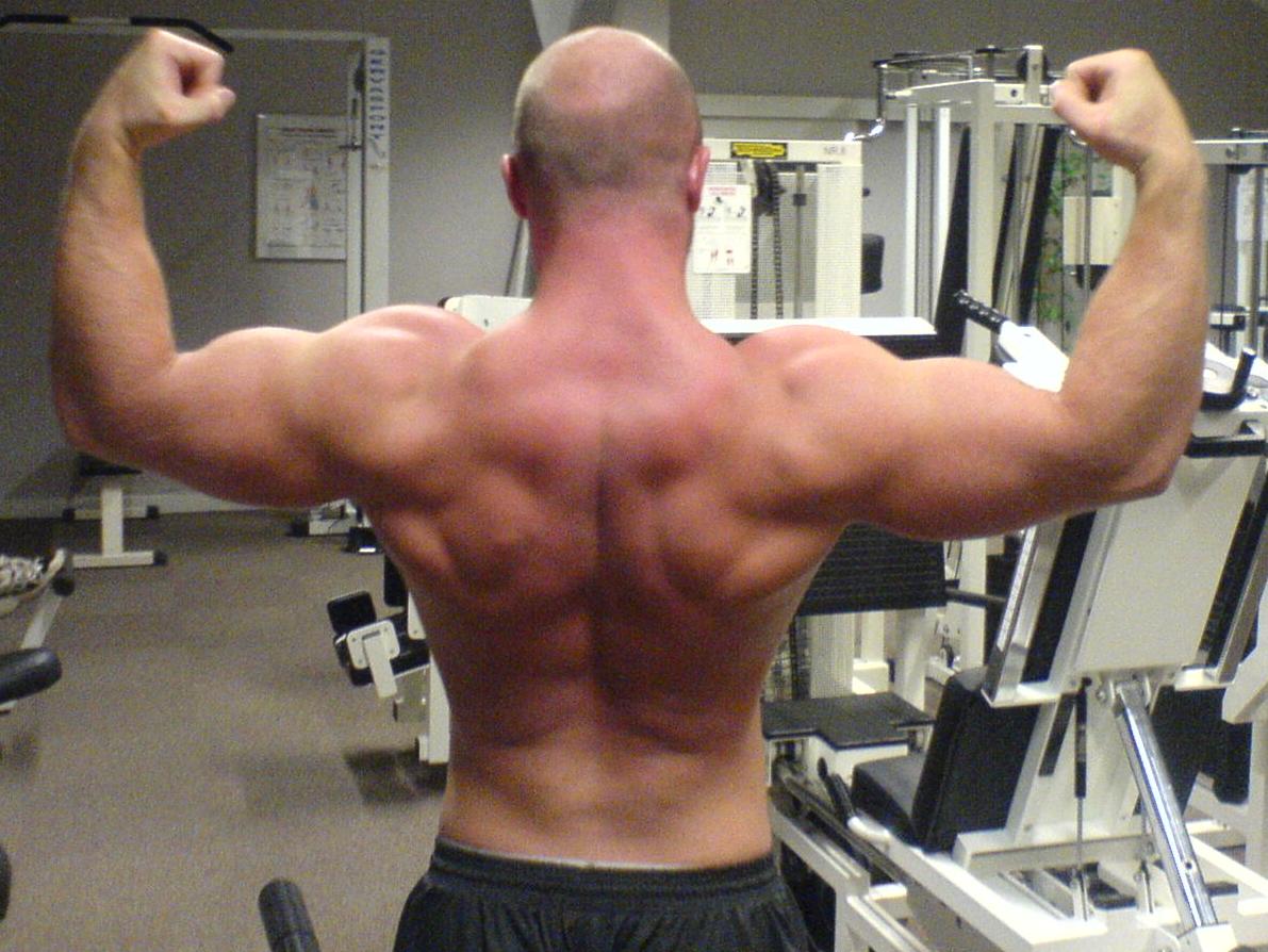 6946-backshot.JPG
