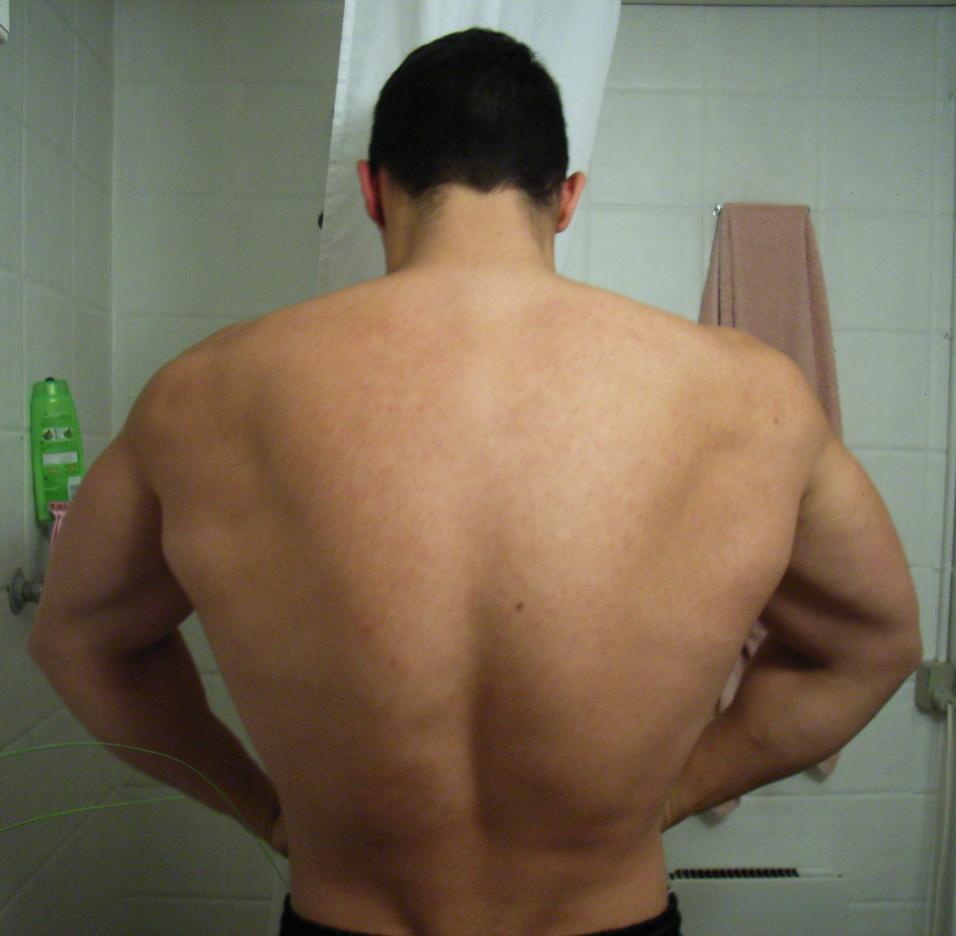 3009-back-lat.jpg