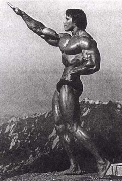 9888-arnold240.jpg