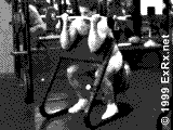 1711-BBPreacherCurl.gif