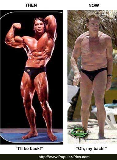 3441-arnold_schwarzenegger_fat.jpg