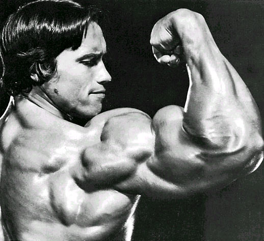 7101-arnold_1.jpg