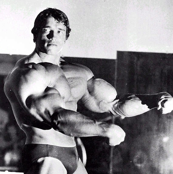 4596-arnold-schwarzenegger-big.jpg