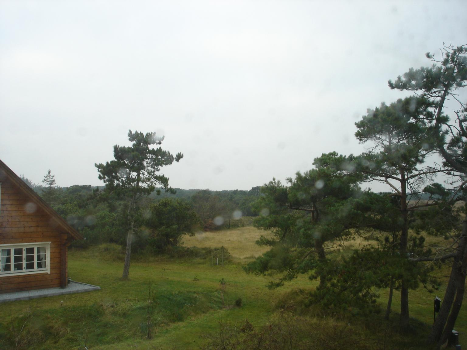 3586-DSC03991.JPG