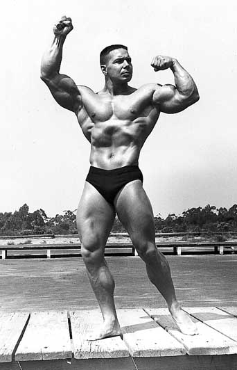 4296-vegetar 2.jpg