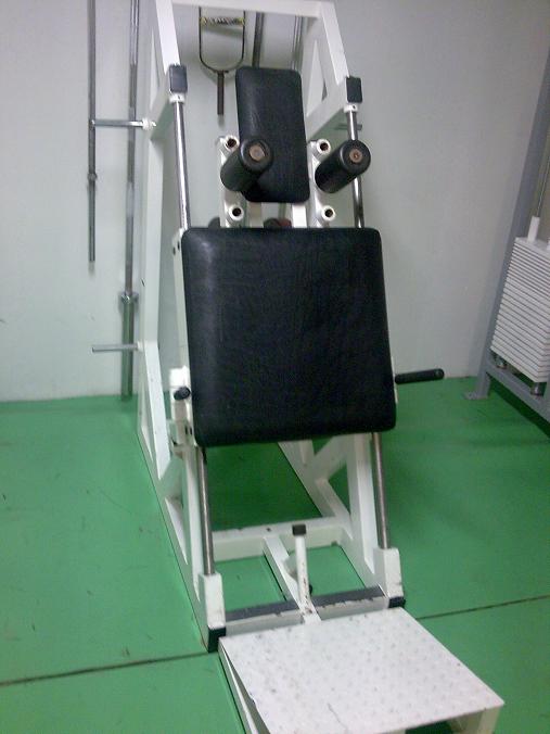 1522-hack squat.jpg