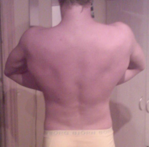 8267-back latspread.jpg