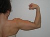 7136-biceps bagfra.jpg