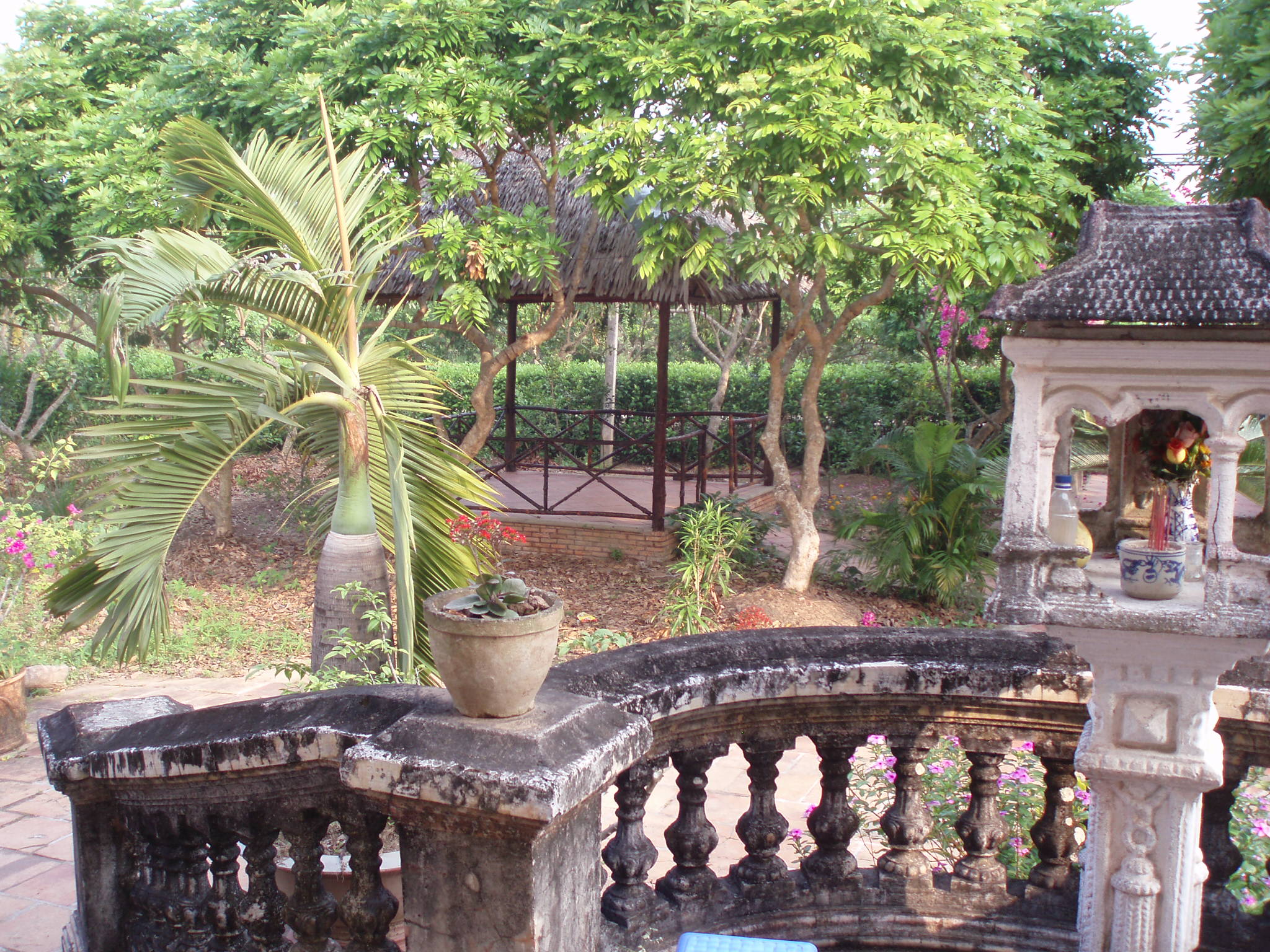 7182-P1012783.JPG