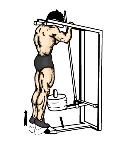 8452-standing_calf_raise.jpg