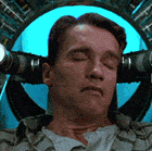 8225-arniecarrot.gif