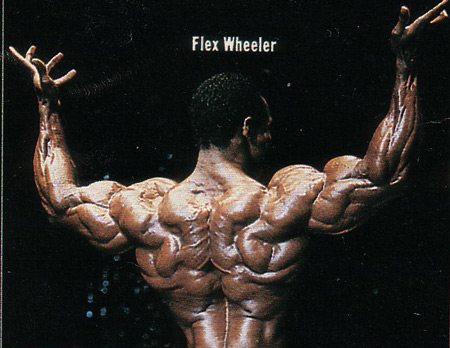6219-6169-Flex.jpg