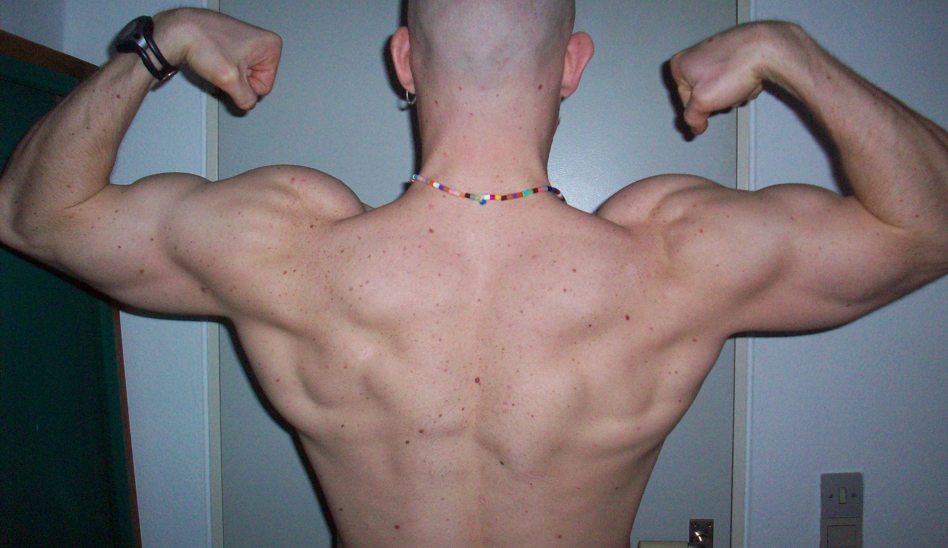 3986-Back.jpg