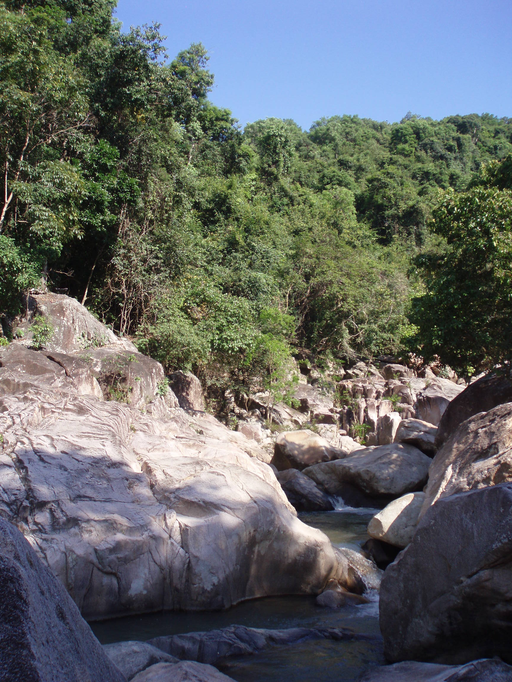 9338-P1013586.JPG