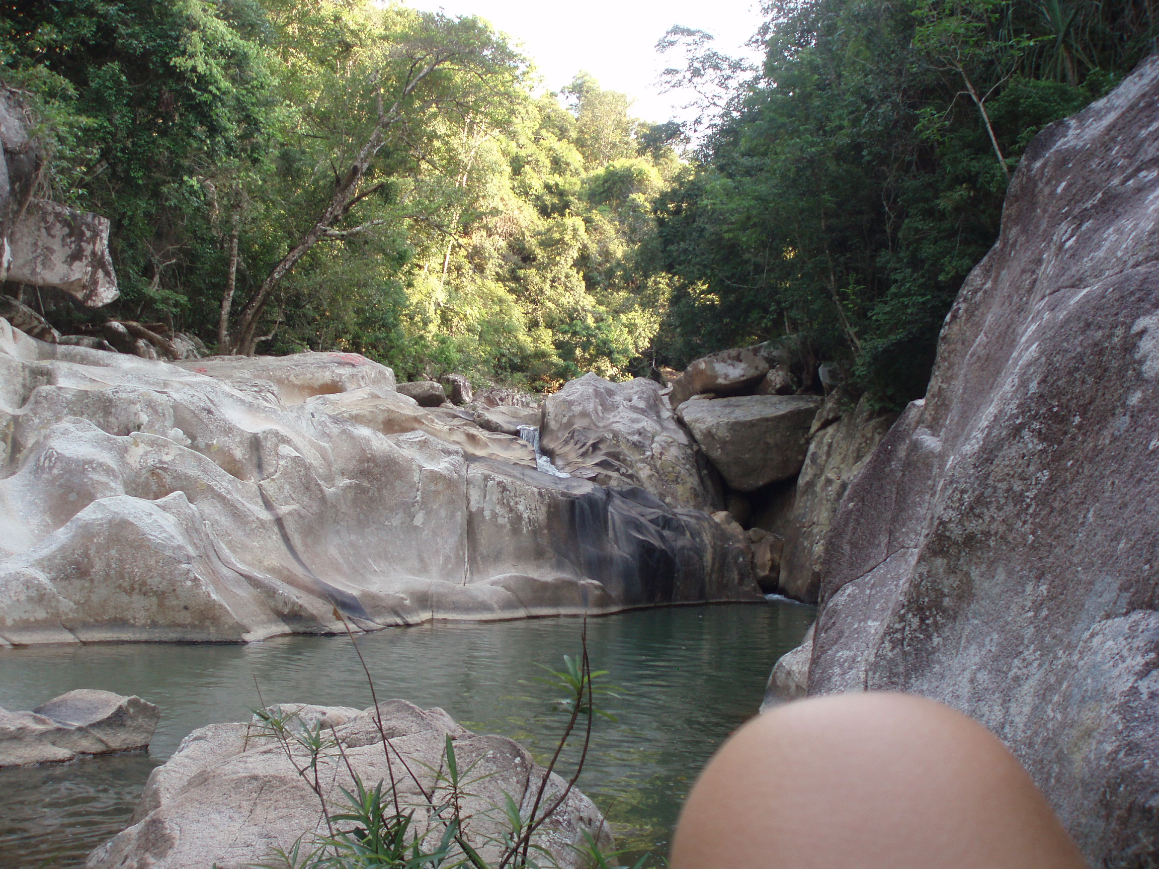 6142-P1013614.JPG