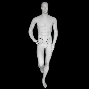 4282-Male_Mannequin.jpg