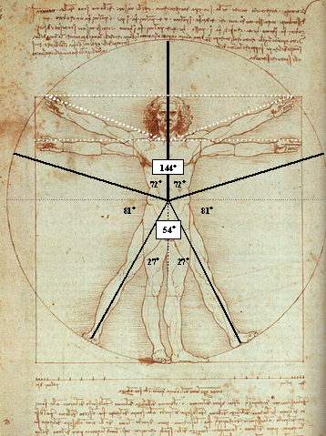 9458-vitruvianman.gif