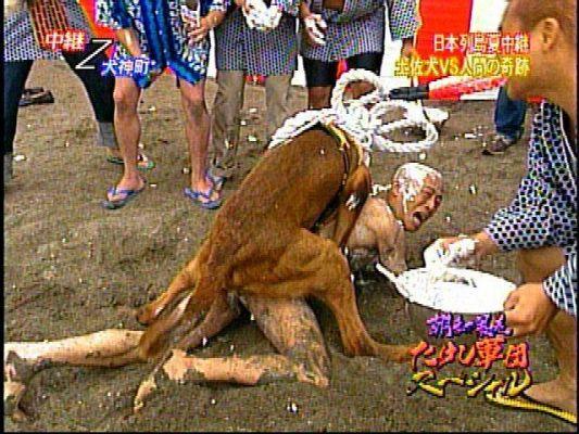 6873-japaneasedog.jpg
