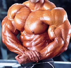 5845-bodybuilder.jpg