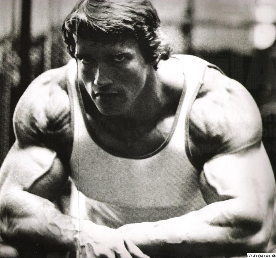 6069-arnie7.jpg