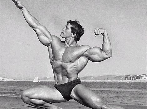 4235-arnold_208.jpg