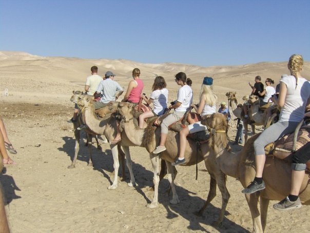 8119-Kamel2.jpg
