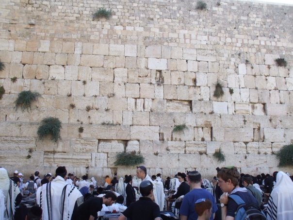 9763-Mur.jpg