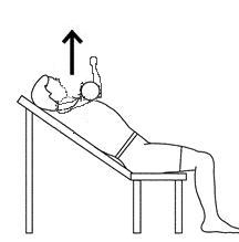 7442-incline-bench-press.jpg