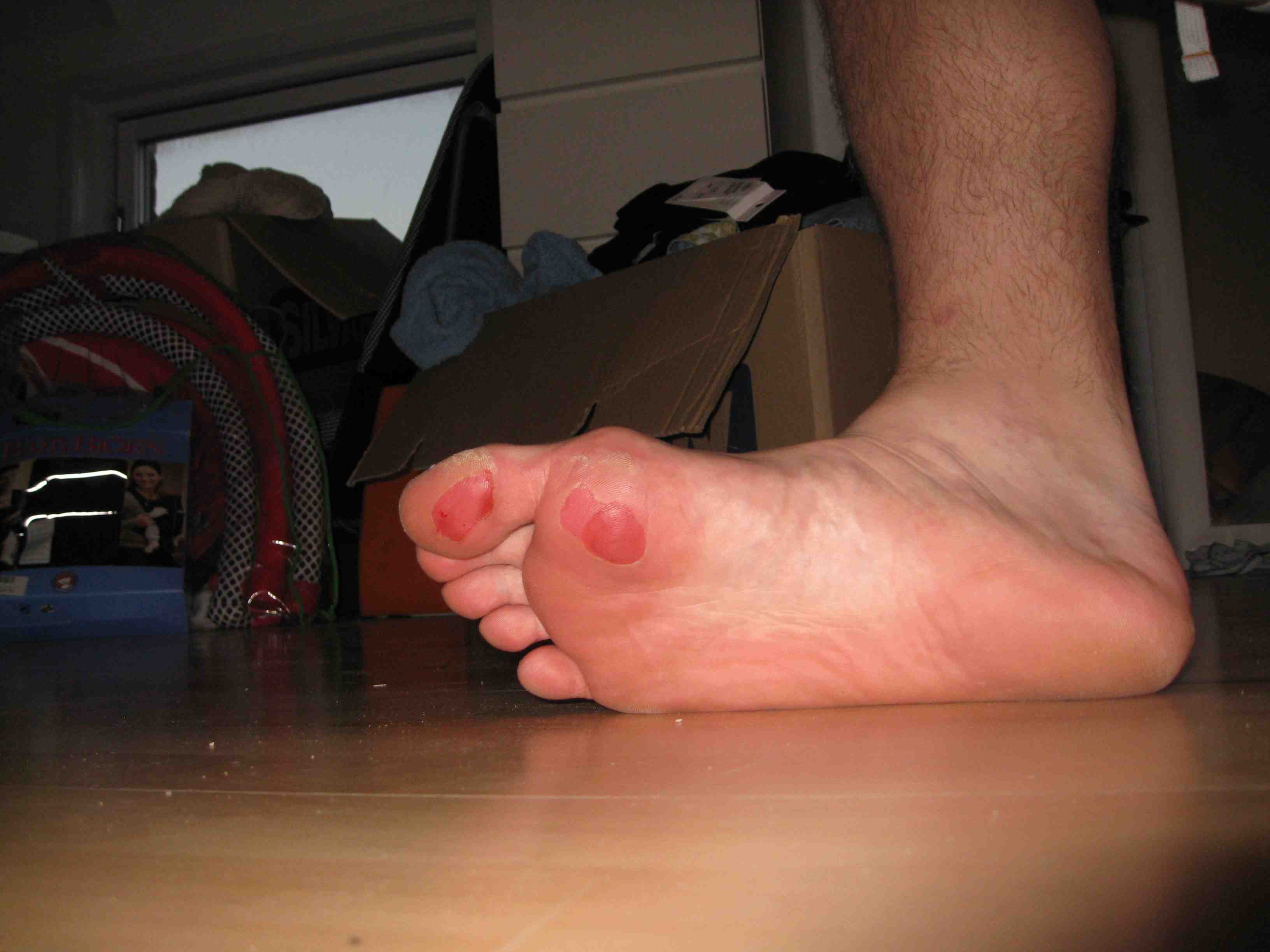 8909-IMG_0738b.jpg
