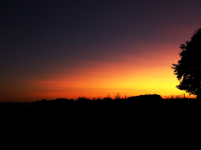 7094-Solnedgang-290808.jpg