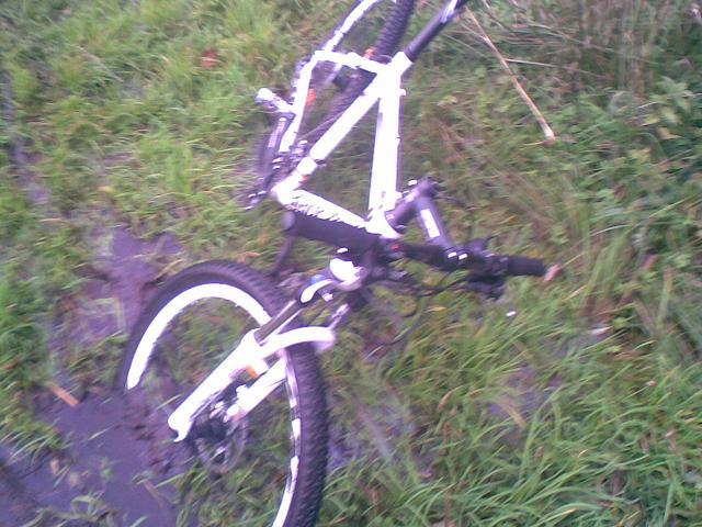 8325-mud.jpg