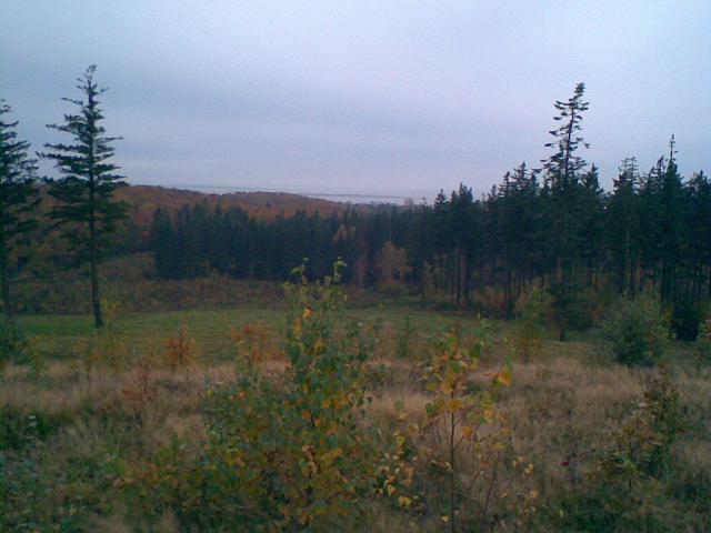 2071-lang2foto.jpg
