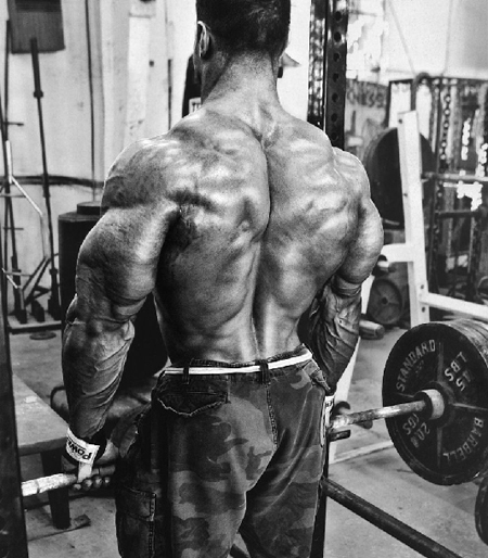 5205-back.jpg