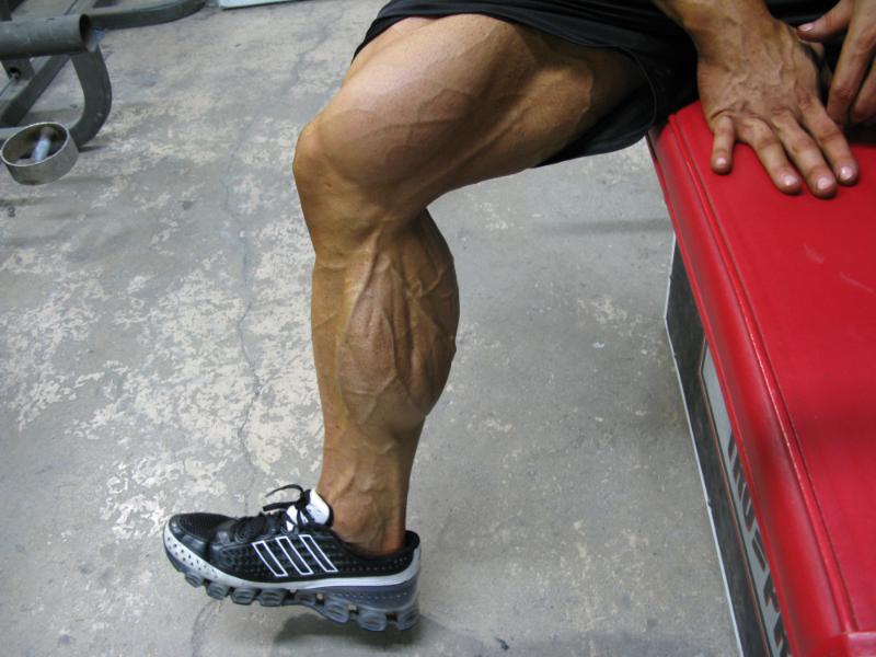9812-calfs.jpg