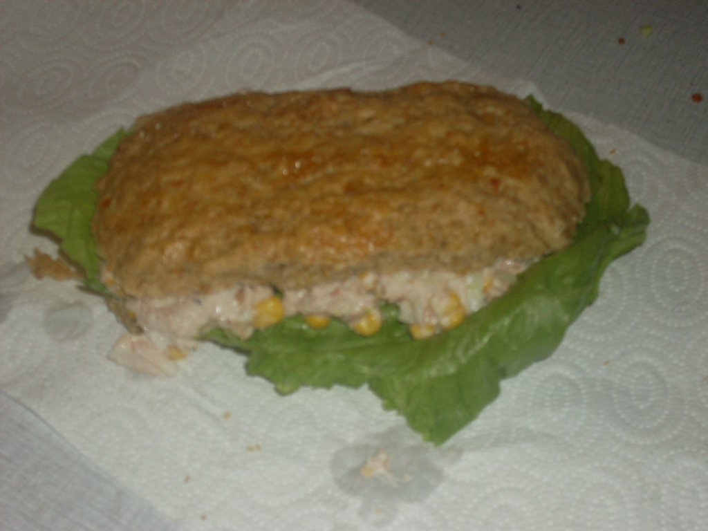 1211-boller.JPG